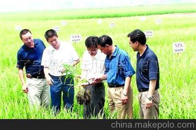 遼寧本溪農(nóng)資小麥種子廣告片拍攝制作圖片,遼寧本溪農(nóng)資小麥種子廣告片拍攝制作圖片大全,遼寧影視動(dòng)畫(huà)制作工廠(chǎng)-